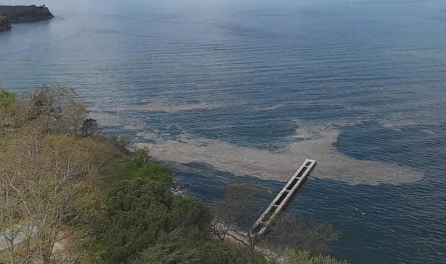 Müsilaj Gemlik Körfezi’nde yeniden görüldü