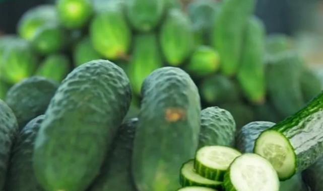 ABD’de salmonella alarmı! O salatalıklar toplatılıyor!