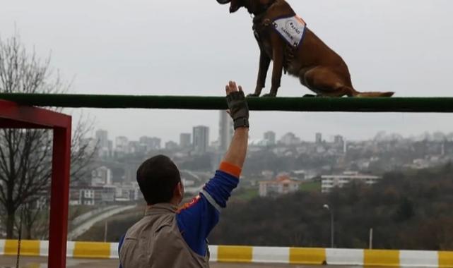 Afet köpeklerine detaylı yönetmelik… Köpekli Arama Timi Yönetmeliği yayımlandı