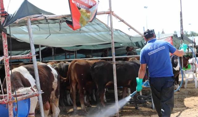 Antalya Büyükşehir kurban satış noktalarını ilaçlıyor