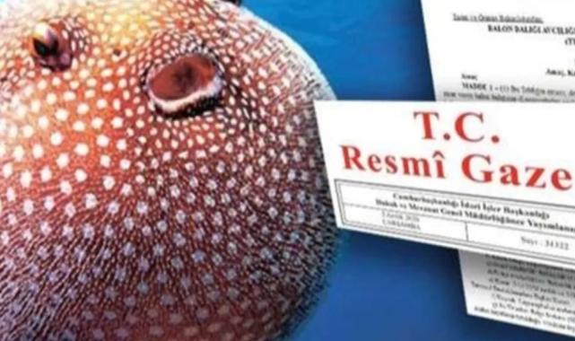 Balon Balığı avcılığı desteği artırıldı