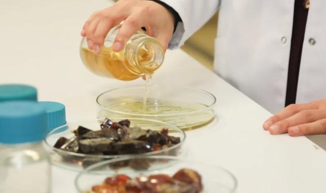 BTÜ’den ürünlerin raf ömrünü uzatacak doğal ambalaj