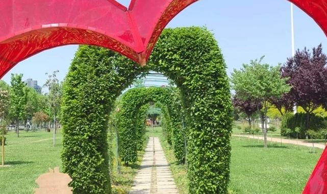 Bursa çiçek bahçesine dönüşüyor