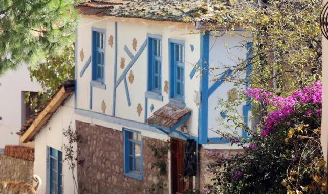 Bursa Mudanya’da ‘Tirilye Zeytin Çiçeği Festivali’ne hazırlığı