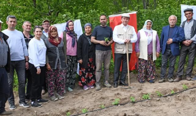 Bursa Osmangazi Belediyesi’nden tarımsal üretim adımı