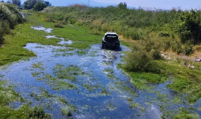 Bursa’da sinekle mücadele tüm hızıyla sürüyor