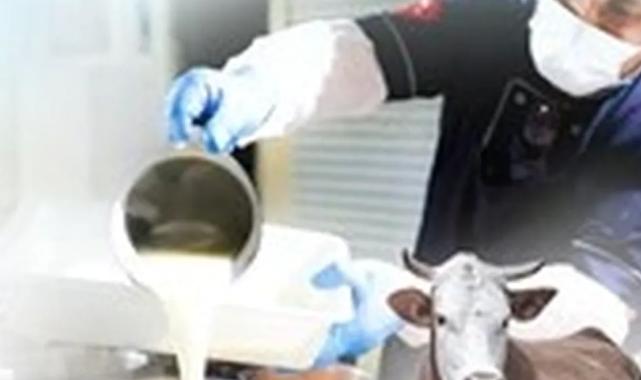 Denizli’de Kurban Bayramı kampanyası