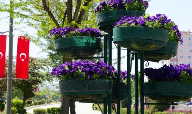 Eskişehir’de refüjler çiçeklerle renklendi
