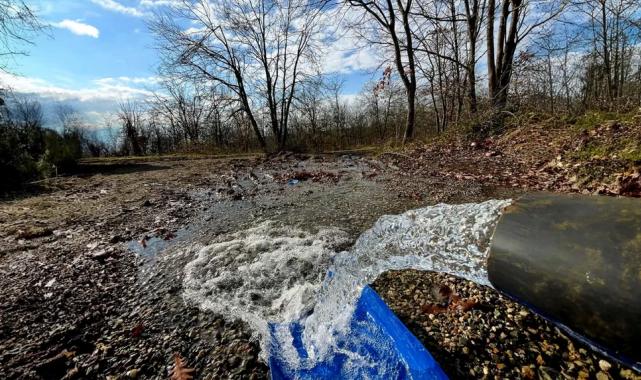 Her yeni kaynak Sapanca Gölü için hayati öneme sahip