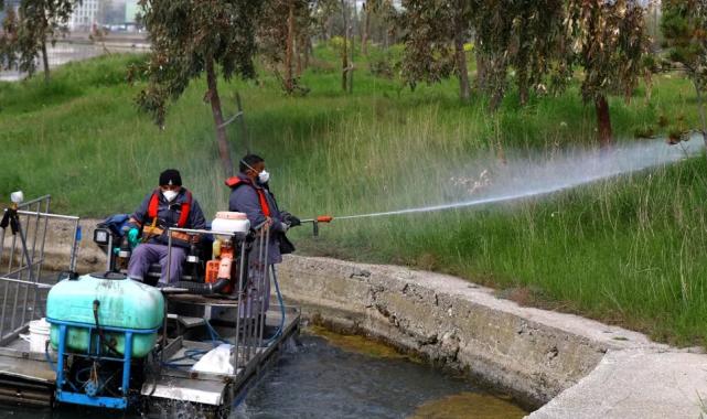 İstanbul’da sivrisinekle mücadelede önlemler arttı