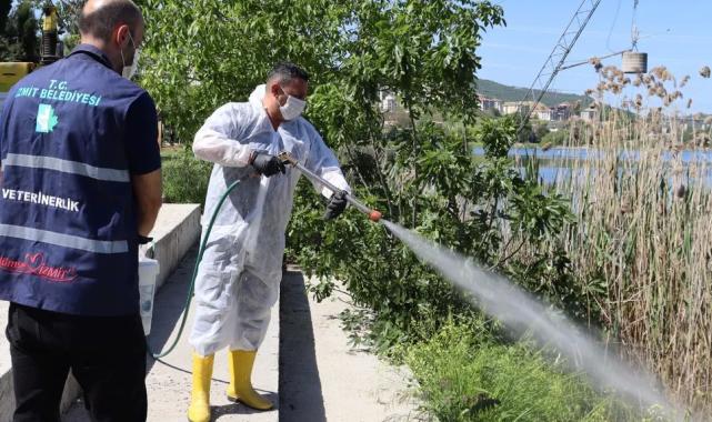 İzmit’te halk sağlığı için yoğun ilaçlama mesaisi