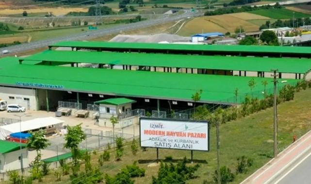 İzmit’te kurban satışı için ön kayıtlar başladı