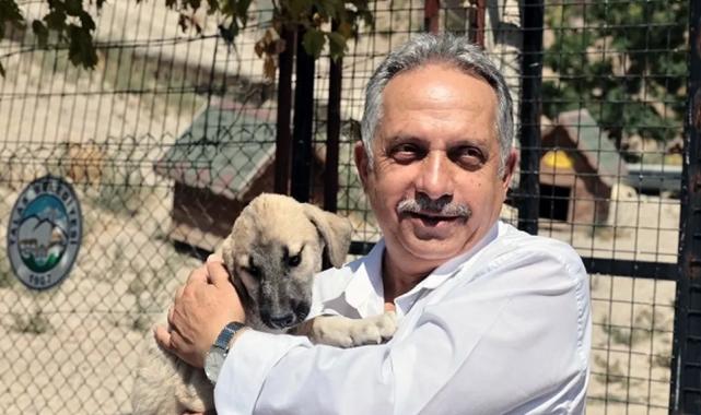 Kayseri Talas Pati Evi can dostlara yuva oluyor