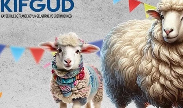 Kayseri Talas’ta France ırkına özel festival