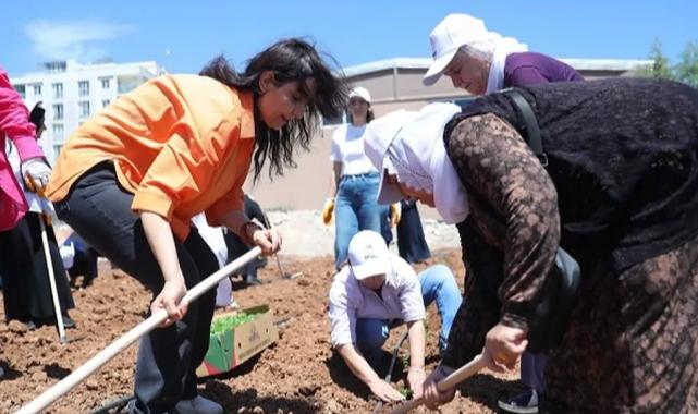 Kent Kadın Bostanları projesi Mardin Artuklu’da hayata geçti