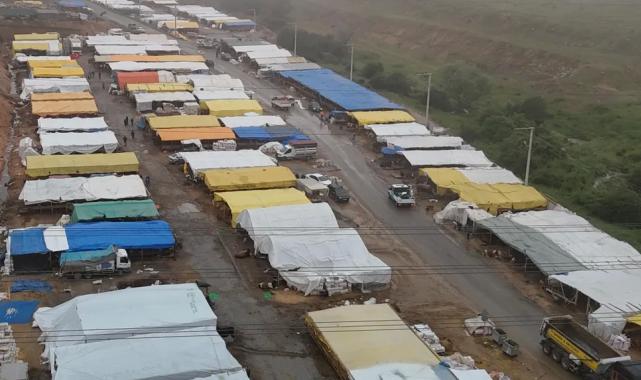 Kocaeli Gebze’de kurban pazarı kuruldu