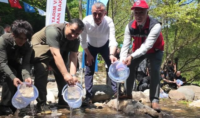 Kocaeli Kirazdere’ye 2 yılda 16 bin alabalık salındı