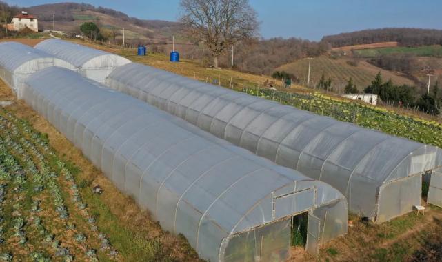 Kocaeli’den yüzde 50 hibeli sera desteği