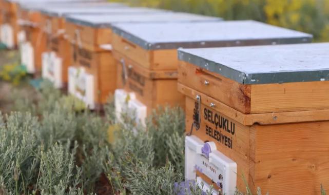 Konyalı çiftçilere hibeli arılı kovan desteği