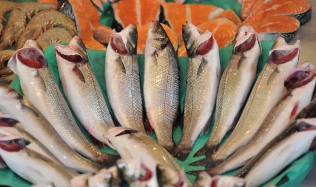 Levrek, çipura ve Türk somonu ihracatı sırtladı