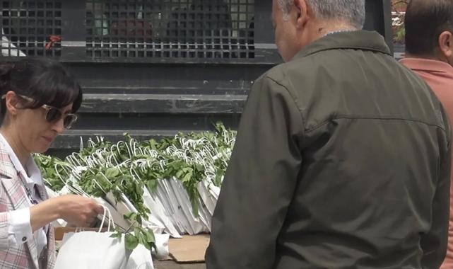 Malatya’da vatandaşlara ücretsiz fide dağıttı