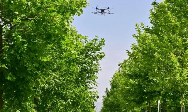 Manisa’da haşereyle mücadeleye aralıksız devam ediyor