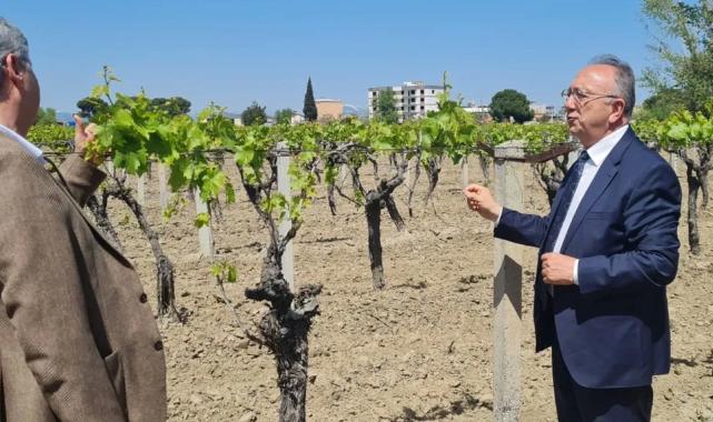 Manisa’da üreticilere genişletilmiş hibe desteği