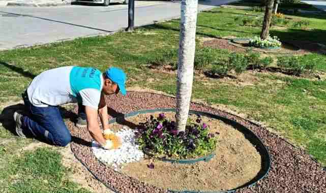 Manisa’da yeşil alanlara estetik dokunuş