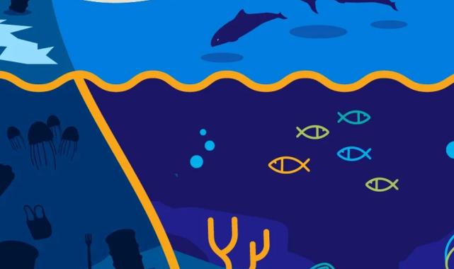 Marmara Denizi Günü bu yıl 3 Haziran’da ‘ekosistem restorasyonu’ temasıyla kutlanacak