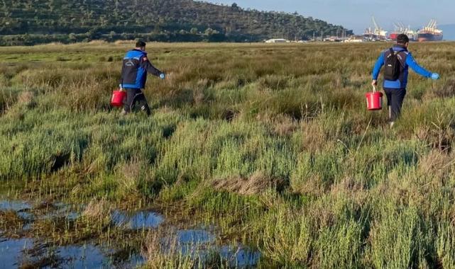 Muğla Büyükşehir’den Güllük’te 60 hektarda ilaçlama