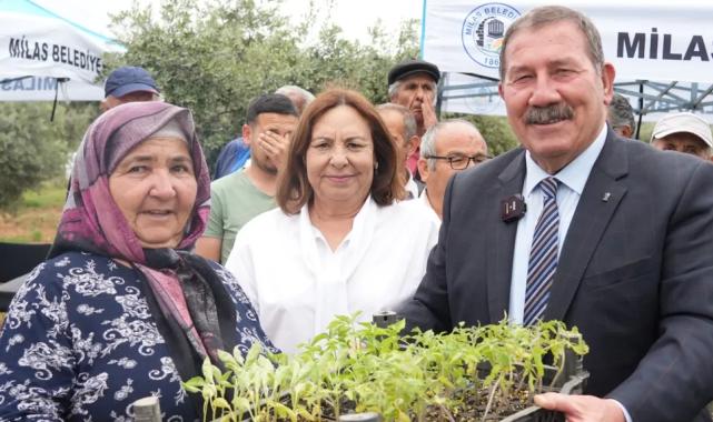 Muğla Milas’ta 300 üreticiye dağıtım gerçekleştirildi