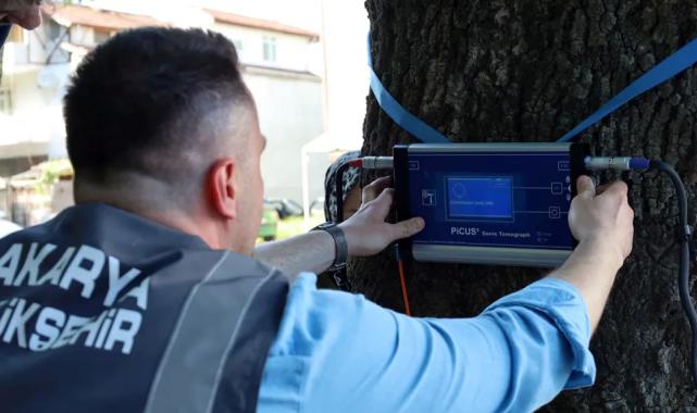 Sakarya’dan doğaya ‘şifa’ gibi adım… Yeşil cennetin tomografisi çekilecek