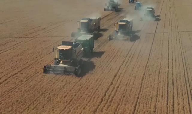 Şanlıurfa Ceylanpınar’da yılın ilk hasadı