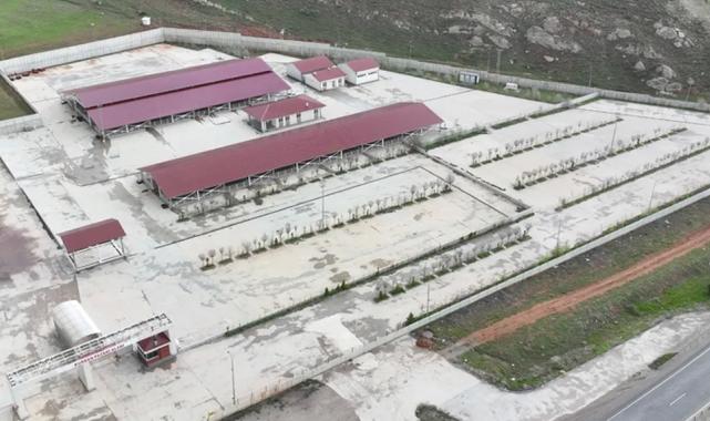 Sivas’ta kurban pazarı Kovalı’ya kuruluyor