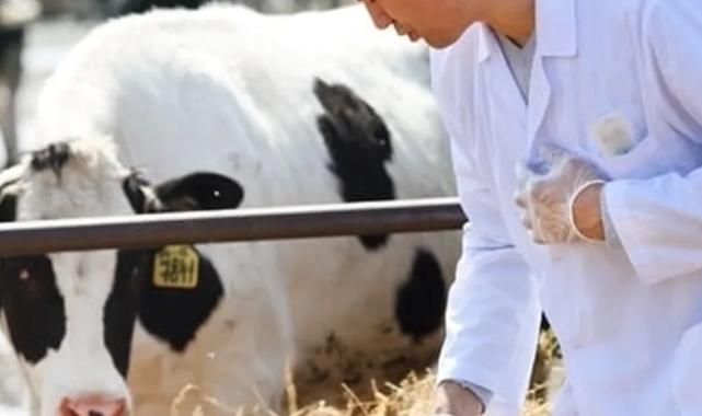 Tarımsal girdi Mart’ta yükseldi… Veteriner harcamaları revaçta