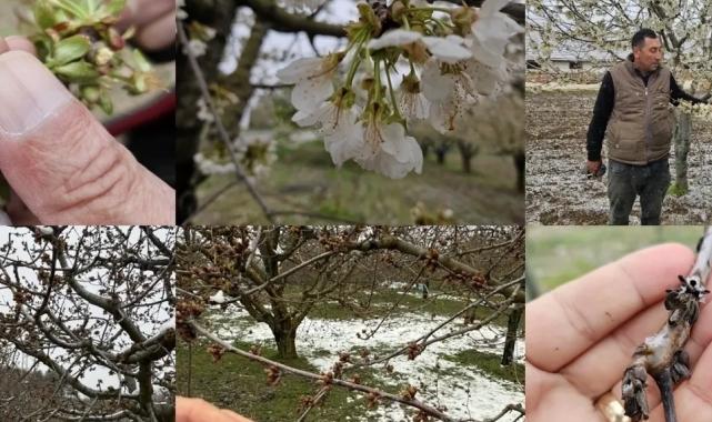 TBMM Zirai Don Araştırma Komisyonu üye seçimi ‘Resmi’leşti