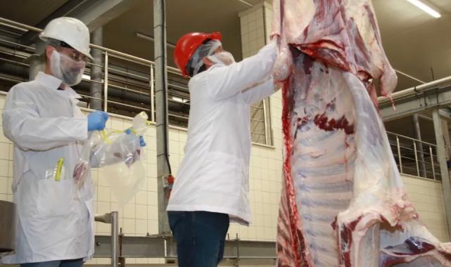 TSE’den Kocaeli mezbahasına tam not