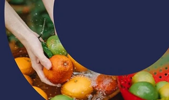 Türkiye’den ‘PlantHealth4Life’ kampanyasına destek