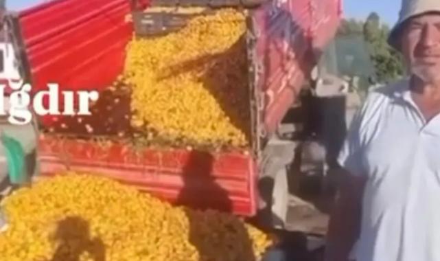 1 TL’lik kayısı paylaşımı 1,4 milyon TL cezaya patladı! Yanıltıcı paylaşıma milyon liralık ceza!