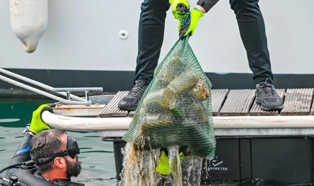 5 ton çöp toplandı, güneş enerjisi kullanımı arttı