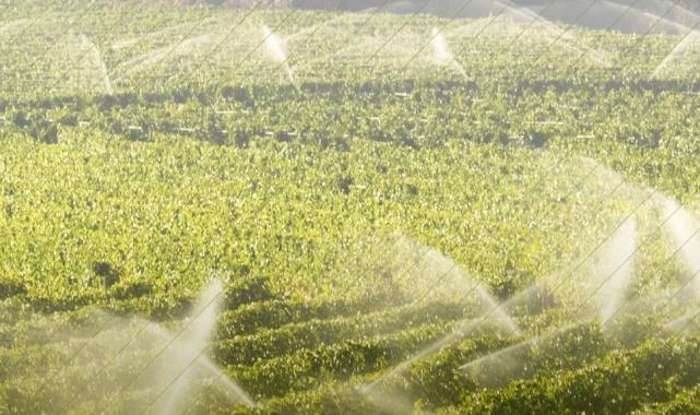 7 bin 160 tarımsal projeye 10,2 milyar TL’lik hibe