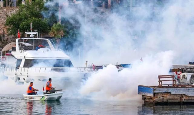 Antalya’nın her köşesinde vektörle mücadele