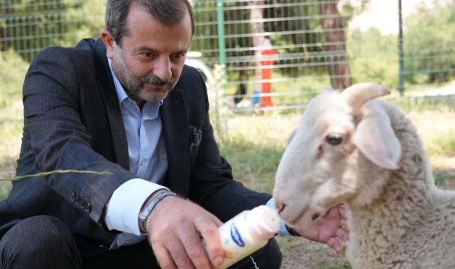 Bursa Gürsu’ya butik hayvanat bahçesi