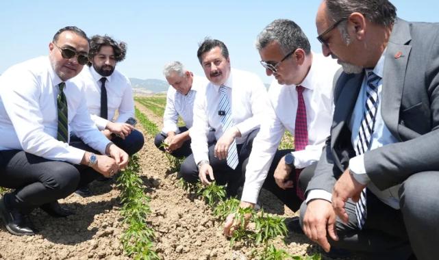 Bursa Yenişehir tarımı Afrika’ya açılıyor