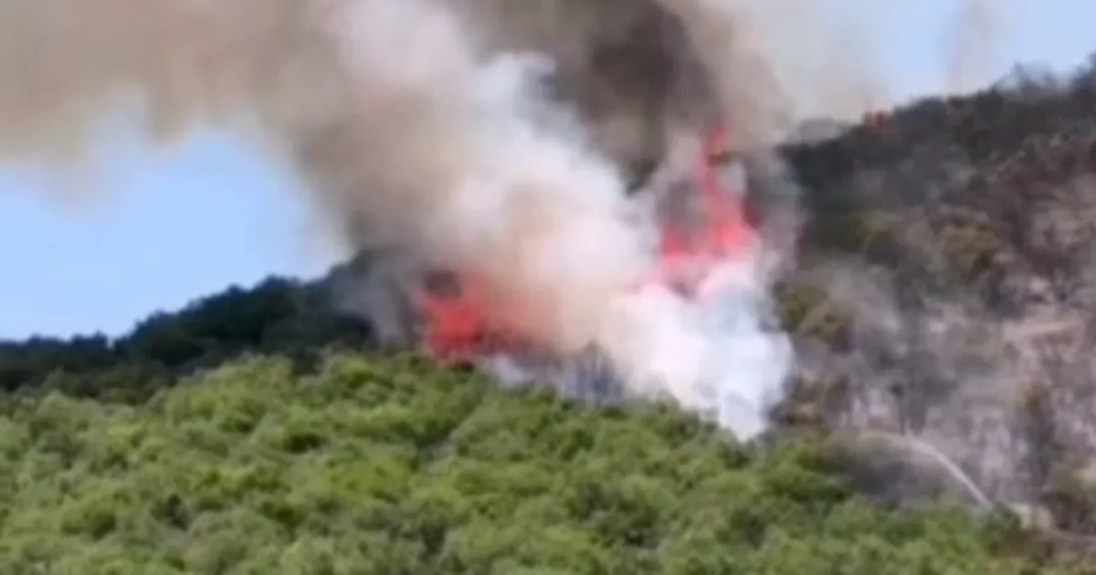 Bursa’da Yenişehirli çiftçilerden yangın seferberliği