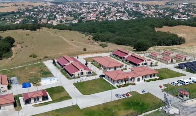 Büyükşehir sahipsiz hayvanlara umut oluyor