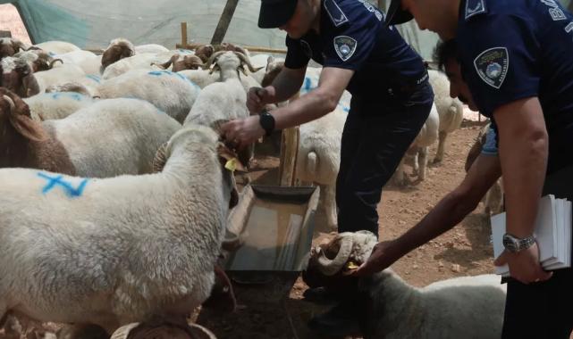 Gaziantep’te bayram öncesi denetimler sıkılaştı