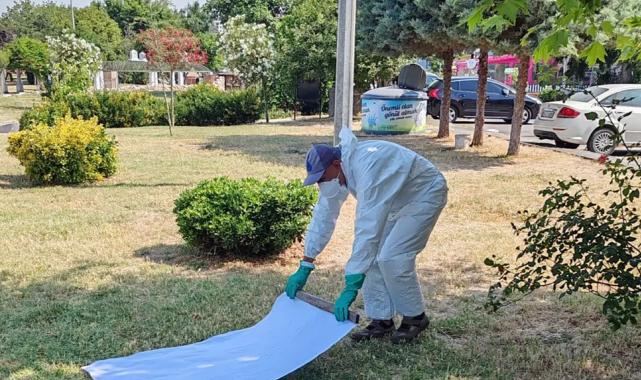 İstanbul Büyükşehir’den kene ile mücadele