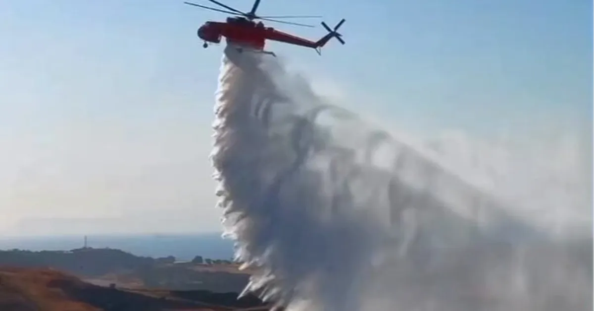 İzmir Aliağa’daki orman yangını kontrol altına alındı