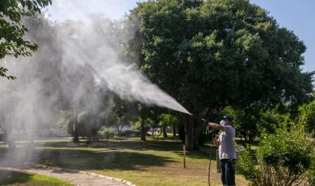 İzmir Güzelbahçe’de sezon ilaçlaması başladı